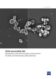 Image d’aperçu de ZEISS GeminiSEM 500