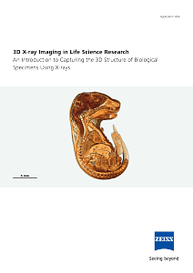 Preview image of 3D X-ray Imaging in Life Science Research