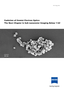 Preview image of Evolution of Gemini Electron Optics