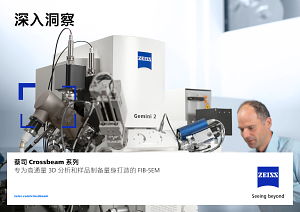Preview image of 蔡司 Crossbeam 系列
